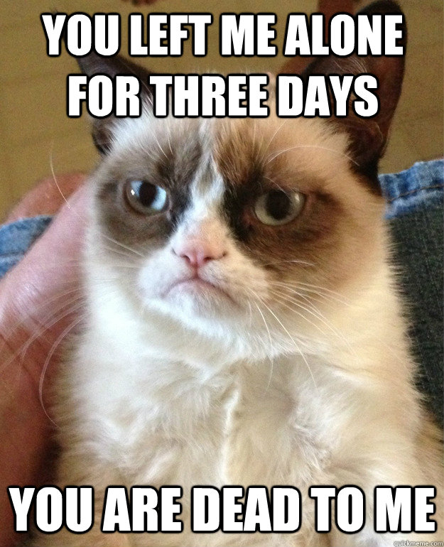 you left me alone for three days you are dead to me - you left me alone for three days you are dead to me  Grumpy Cat