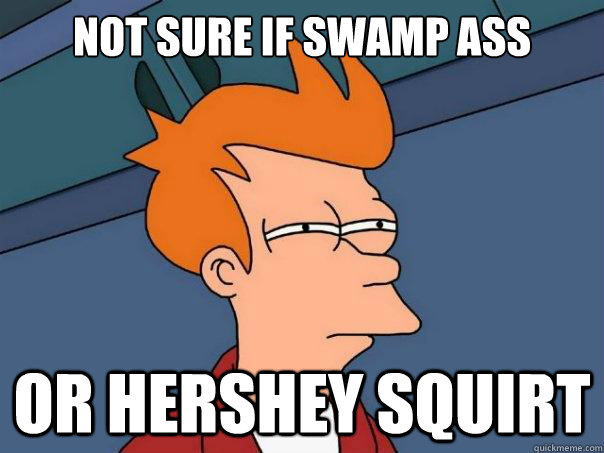 Not sure if swamp ass or hershey squirt  Futurama Fry