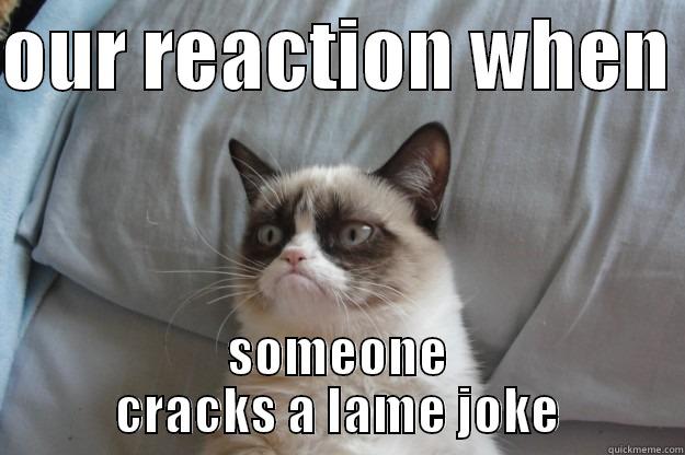 OUR REACTION WHEN  SOMEONE CRACKS A LAME JOKE Grumpy Cat