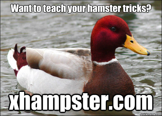 Want to teach your hamster tricks? xhampster.com - Want to teach your hamster tricks? xhampster.com  Malicious Advice Mallard