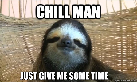 Chill man Just give me some time - Chill man Just give me some time  Chill sloth