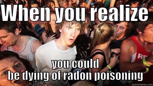 radon pollution meme - WHEN YOU REALIZE  YOU COULD BE DYING OF RADON POISONING Sudden Clarity Clarence