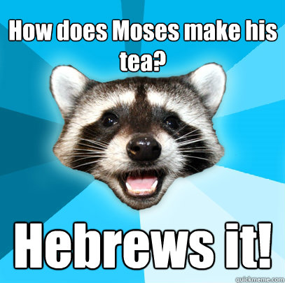 How does Moses make his tea?  Hebrews it!
  Lame Pun Coon