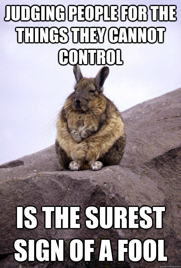 Judging people for the things they cannot control is the surest sign of a fool - Judging people for the things they cannot control is the surest sign of a fool  Wise Wondering Viscacha