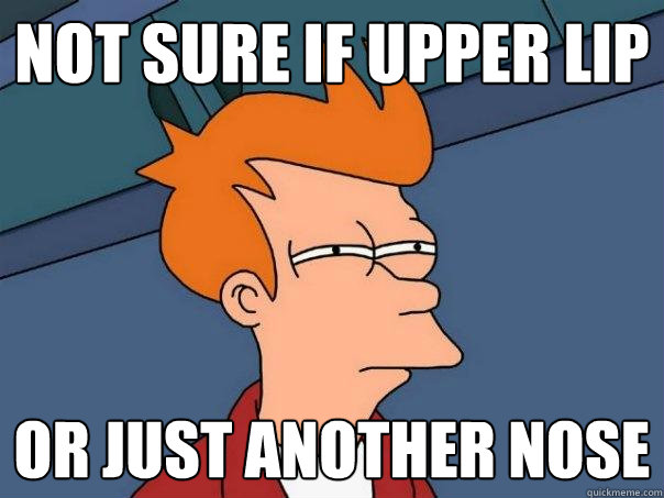 Not sure if upper lip  Or just another nose  Futurama Fry