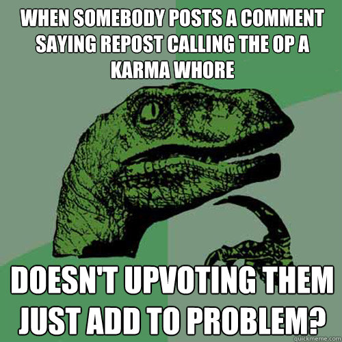 When somebody posts a comment saying repost calling the op a Karma whore doesn't upvoting them just add to problem?  Philosoraptor