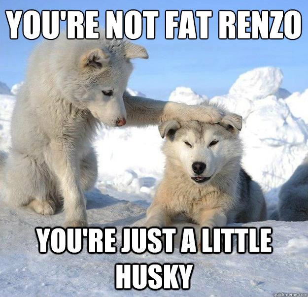 you're not fat renzo
 you're just a little husky  Caring Husky