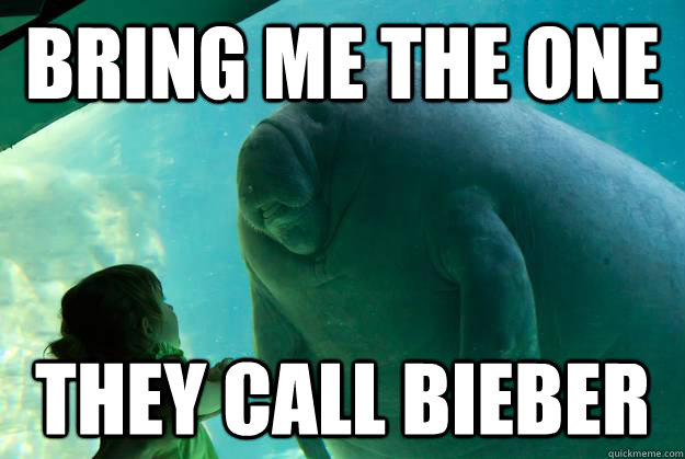 bring me the one they call bieber - bring me the one they call bieber  Overlord Manatee