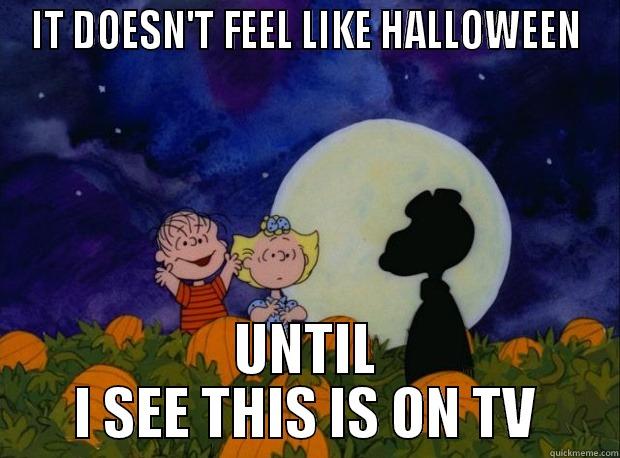 Great Pumpkin - IT DOESN'T FEEL LIKE HALLOWEEN UNTIL I SEE THIS IS ON TV Misc