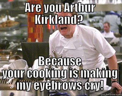 ARE YOU ARTHUR KIRKLAND?  BECAUSE YOUR COOKING IS MAKING MY EYEBROWS CRY! Chef Ramsay