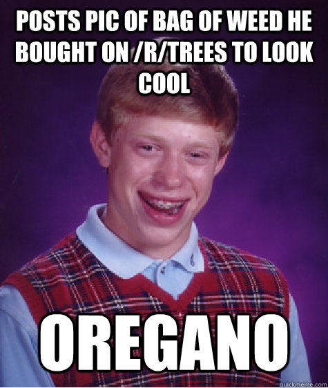 posts pic of bag of weed he bought on /r/trees to look cool oregano  Bad Luck Brian