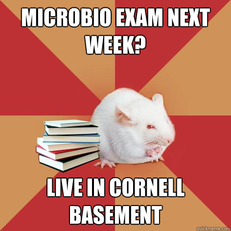 microbio exam next week? live in cornell basement - microbio exam next week? live in cornell basement  Science Major Mouse