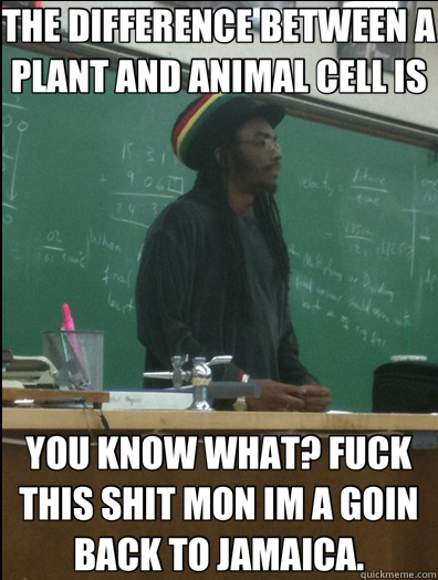 THE DIFFERENCE BETWEEN A PLANT AND ANIMAL CELL IS YOU KNOW WHAT? FUCK THIS SHIT MON IM A GOIN BACK TO JAMAICA. - THE DIFFERENCE BETWEEN A PLANT AND ANIMAL CELL IS YOU KNOW WHAT? FUCK THIS SHIT MON IM A GOIN BACK TO JAMAICA.  Rasta Science Teacher