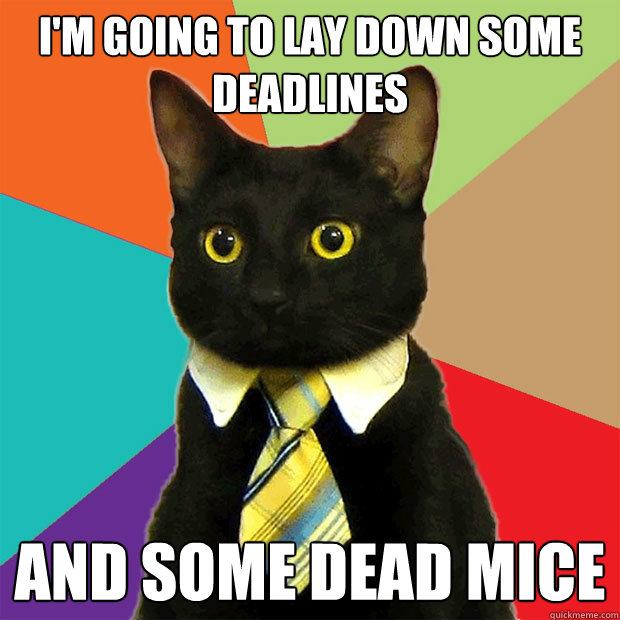 I'm going to lay down some deadlines and some dead mice - I'm going to lay down some deadlines and some dead mice  Business Cat