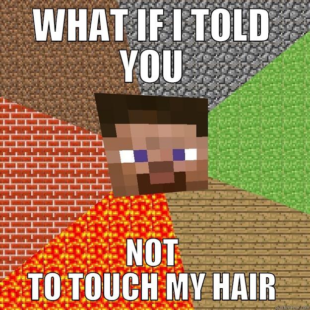 WHAT IF I TOLD YOU NOT TO TOUCH MY HAIR - WHAT IF I TOLD YOU NOT TO TOUCH MY HAIR Minecraft