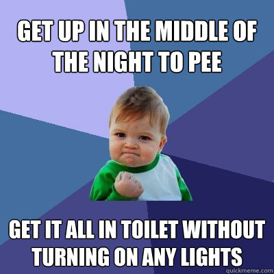 Get up in the middle of the night to pee Get it all in toilet without turning on any lights  Success Kid