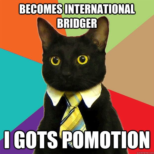 Becomes international bridger I Gots pomotion  Business Cat