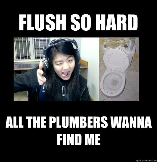 flush so hard all the plumbers wanna find me  