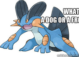 What am I 
A Dog or a Frog Or What?  swampert