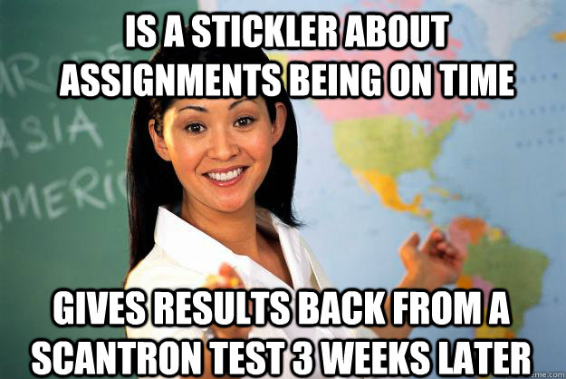 is a stickler about assignments being on time gives results back from a scantron test 3 weeks later  Unhelpful High School Teacher