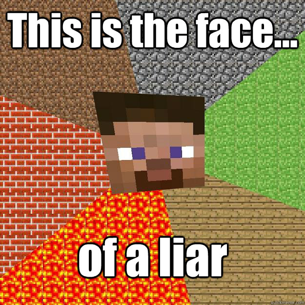 This is the face... of a liar  Minecraft