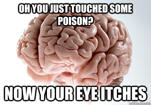 Oh you just touched some poison? Now your eye itches  Scumbag Brain