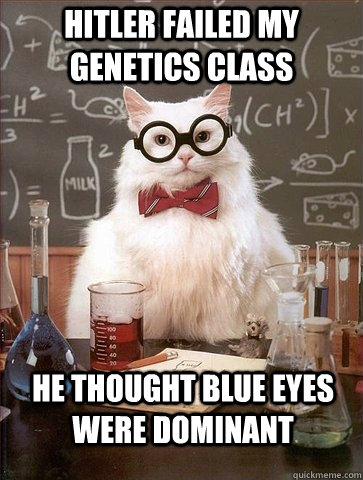 HITLER FAILED MY GENETICS CLASS HE THOUGHT BLUE EYES WERE DOMINANT  Chemistry Cat