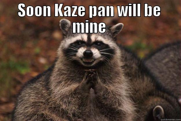 Royce in a nutshell - SOON KAZE PAN WILL BE MINE  Evil Plotting Raccoon