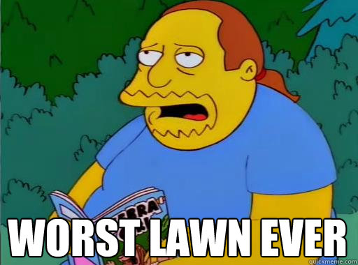 WORST LAWN EVER   Comic Book Guy