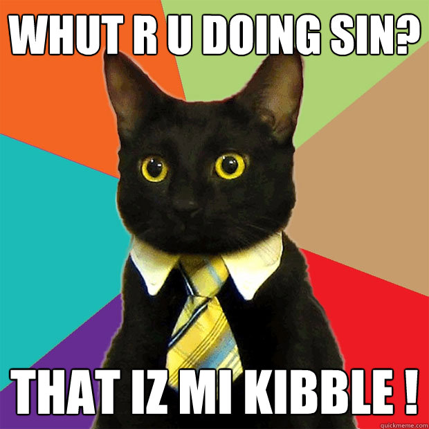 WHUT R U DOING SIN? THAT IZ MI KIBBLE !  Business Cat