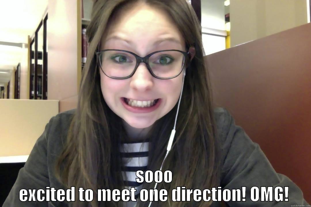  SOOO EXCITED TO MEET ONE DIRECTION! OMG! Misc