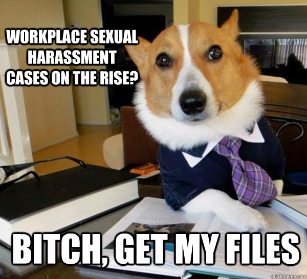 Workplace Sexual Harassment cases on the rise? Bitch, get my files   Lawyer Dog