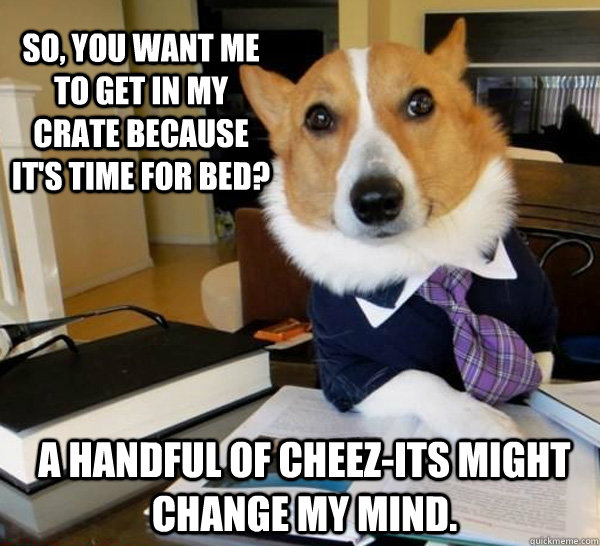 So, you want me to get in my crate because it's time for bed? A handful of Cheez-its might change my mind.  Lawyer Dog