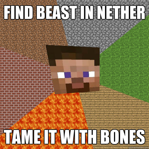 Find beast in nether Tame it with bones  Minecraft