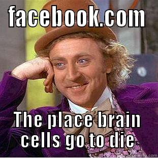 FACEBOOK.COM THE PLACE BRAIN CELLS GO TO DIE Condescending Wonka