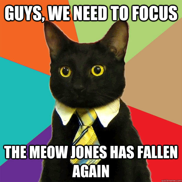 Guys, we need to focus The meow Jones has fallen again  Business Cat