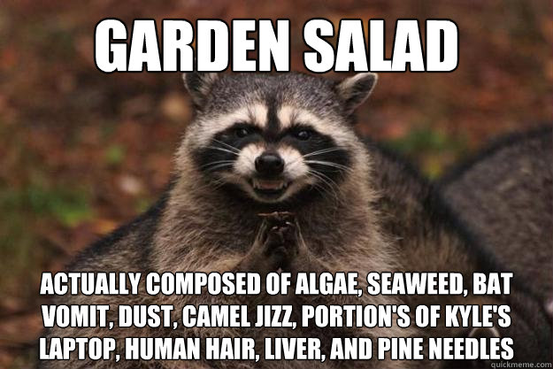 Garden Salad actually composed of algae, seaweed, bat vomit, dust, camel jizz, portion's of kyle's laptop, human hair, liver, and pine needles - Garden Salad actually composed of algae, seaweed, bat vomit, dust, camel jizz, portion's of kyle's laptop, human hair, liver, and pine needles  Evil Plotting Raccoon