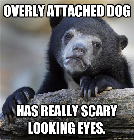 Overly Attached Dog  Has really scary looking eyes.  Confession Bear