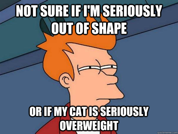 Not sure if I'm seriously    out of shape Or if my cat is seriously overweight  Futurama Fry