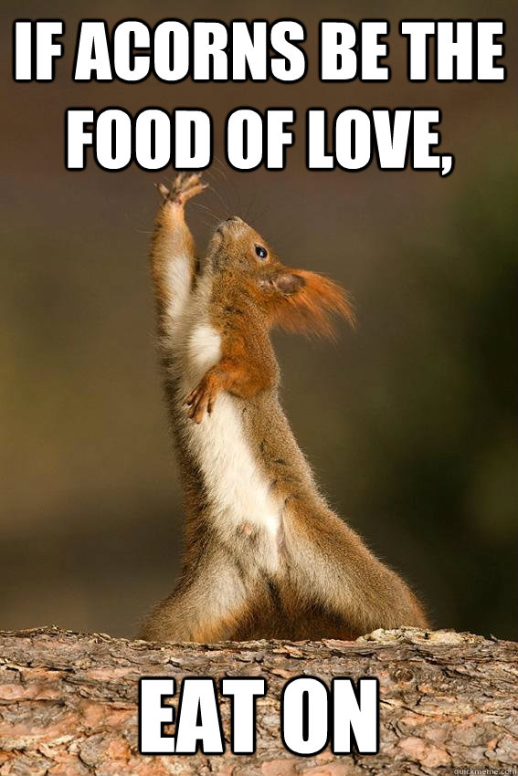 If acorns be the food of love,  eat on  Shakespeare Squirrel