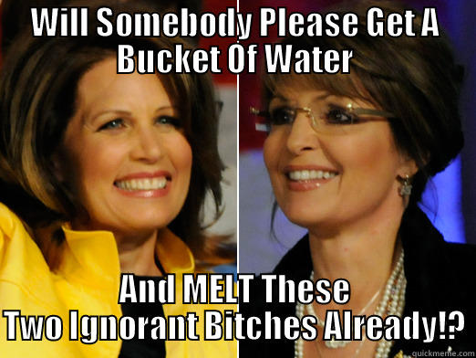 WILL SOMEBODY PLEASE GET A BUCKET OF WATER AND MELT THESE TWO IGNORANT BITCHES ALREADY!? Misc