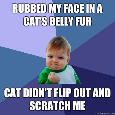 Rubbed my face in a cat's belly fur Cat didn't flip out and scratch me  Success Kid