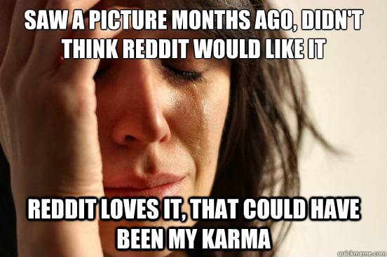 saw a picture months ago, didn't think reddit would like it reddit loves it, that could have been my karma  First World Problems