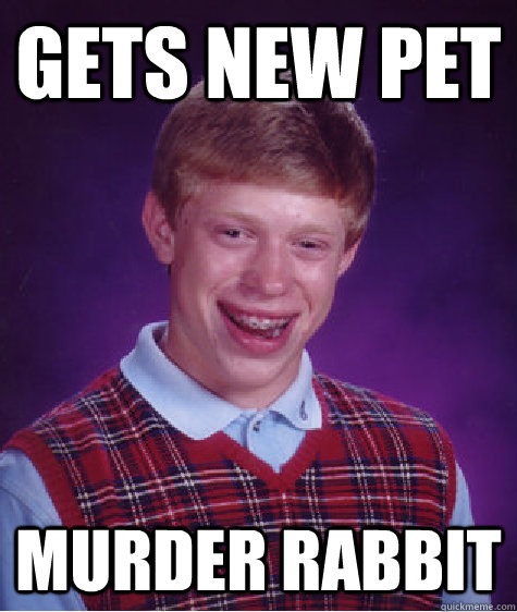 Gets new pet Murder Rabbit  Bad Luck Brian