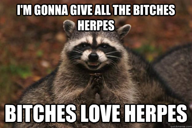 I'm gonna give all the bitches herpes Bitches love herpes  Evil Plotting Raccoon