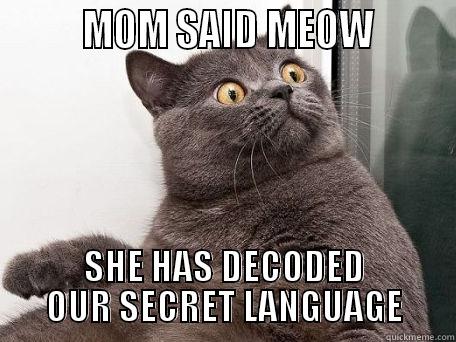         MOM SAID MEOW        SHE HAS DECODED OUR SECRET LANGUAGE conspiracy cat