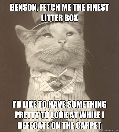 Benson, fetch me the finest litter box I'd like to have something pretty to look at while I defecate on the carpet  Aristocat