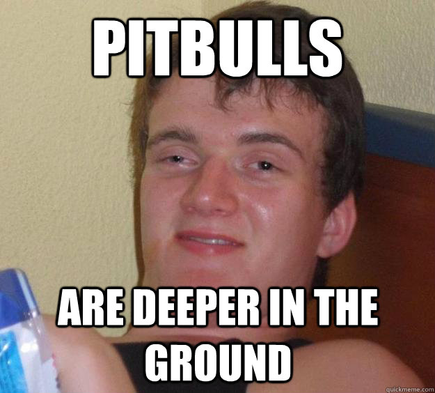 Pitbulls are deeper in the ground  10 Guy