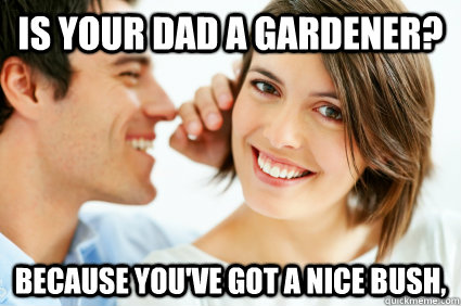 Is your dad a gardener?  Because you've got a nice bush,  Bad Pick-up line Paul