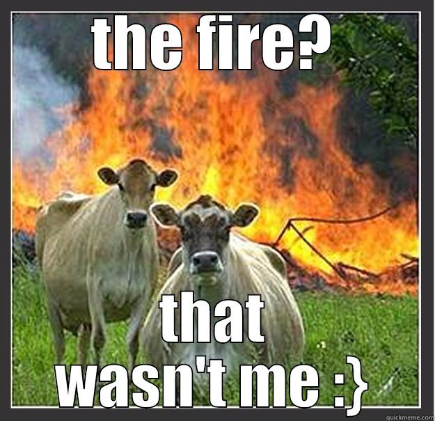 THE FIRE? THAT WASN'T ME :} Evil cows